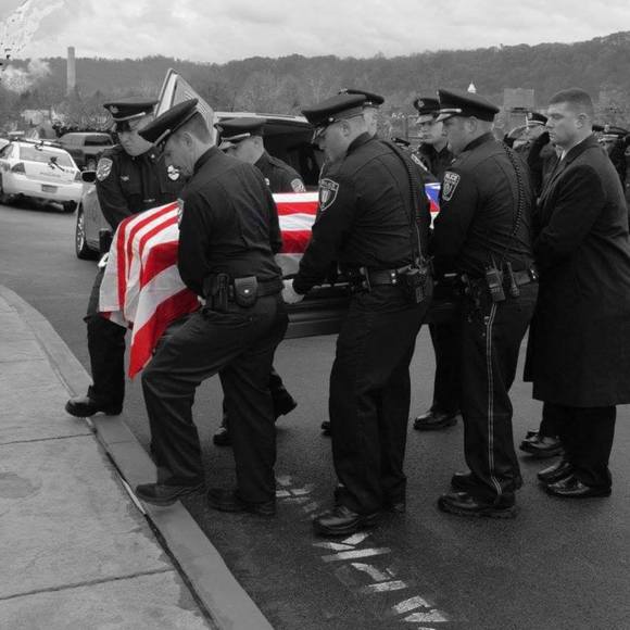 Meet your Posher, Ron - Picture 1 of 1